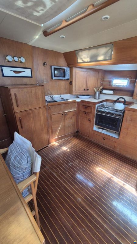 Dromor Triton 48