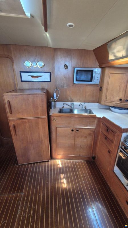 Dromor Triton 48