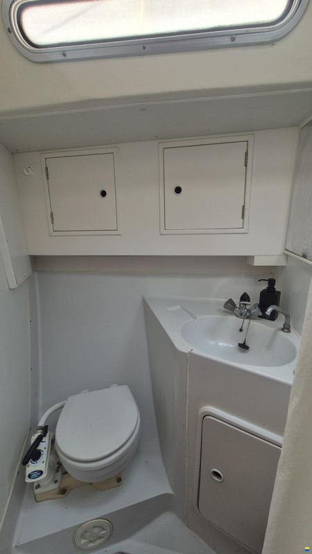 Dromor Triton 48