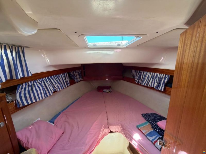 ACM Dufour Elite 31