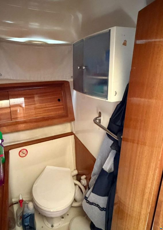 ACM Dufour Elite 31