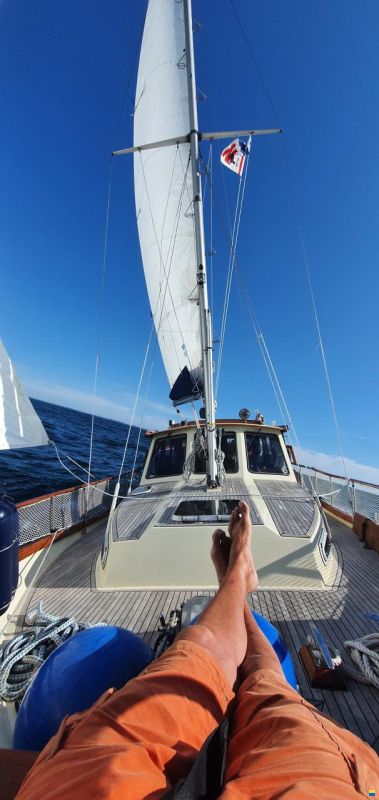 Nauticat 33