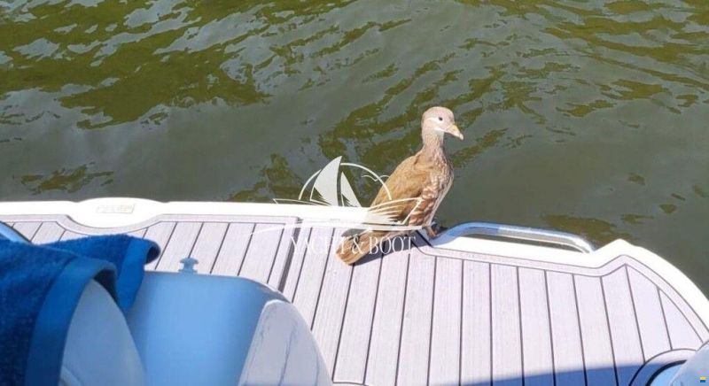 Sea Ray Sundancer 275