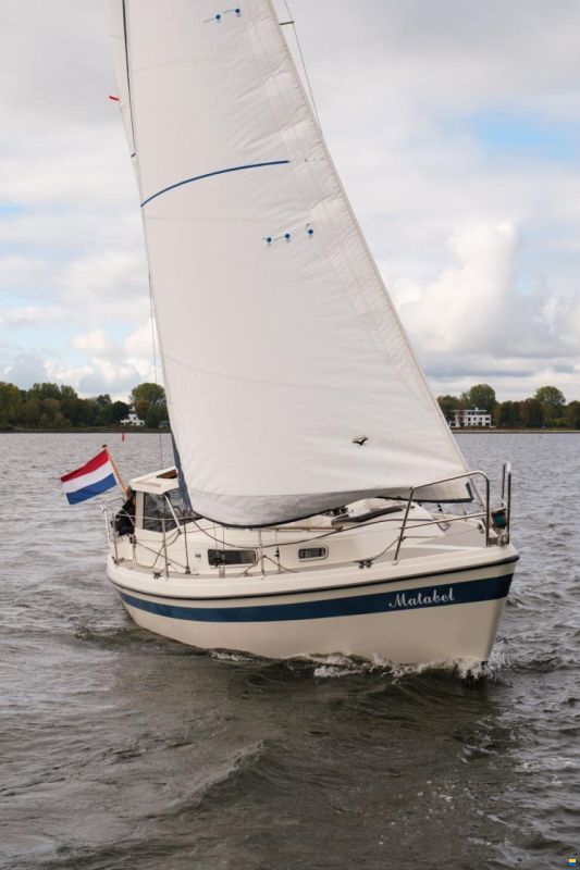 LM 28
