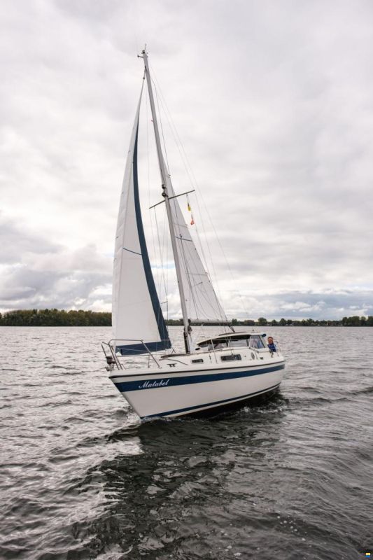 LM 28
