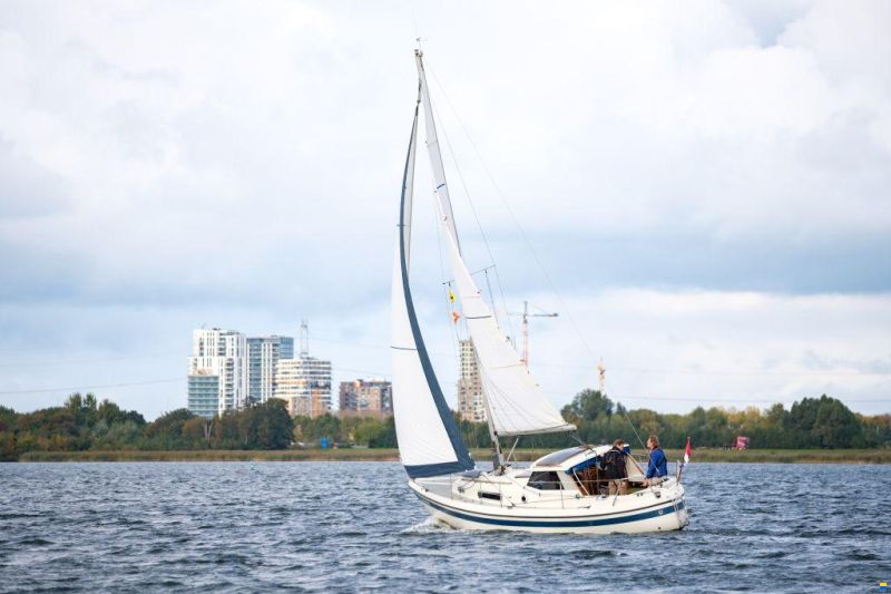 LM 28
