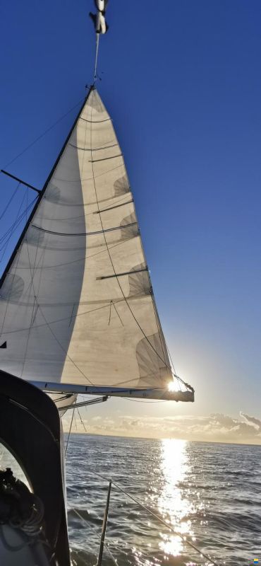 Dehler Optima 98 GS