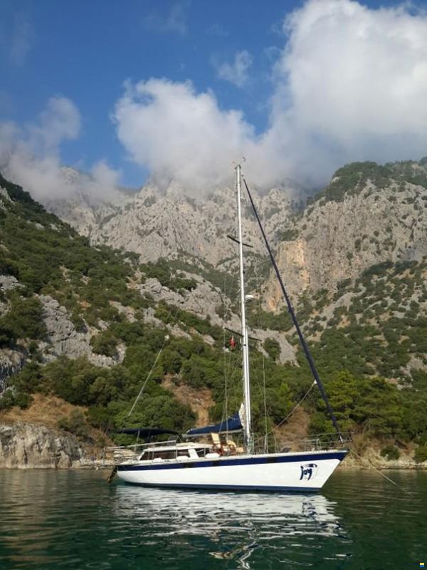 Jeanneau Dynamique Express 50' DS