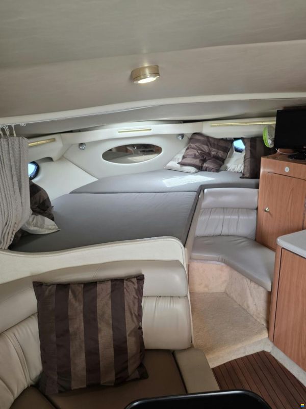 Regal 3260 Commodore