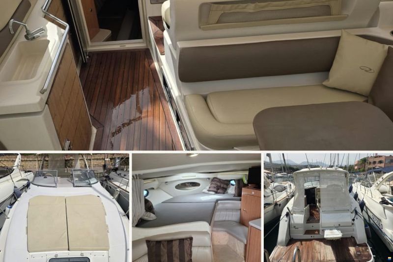 Regal 3260 Commodore