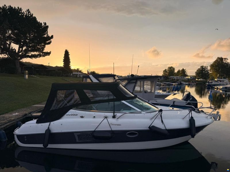 Sessa Islamorada 23