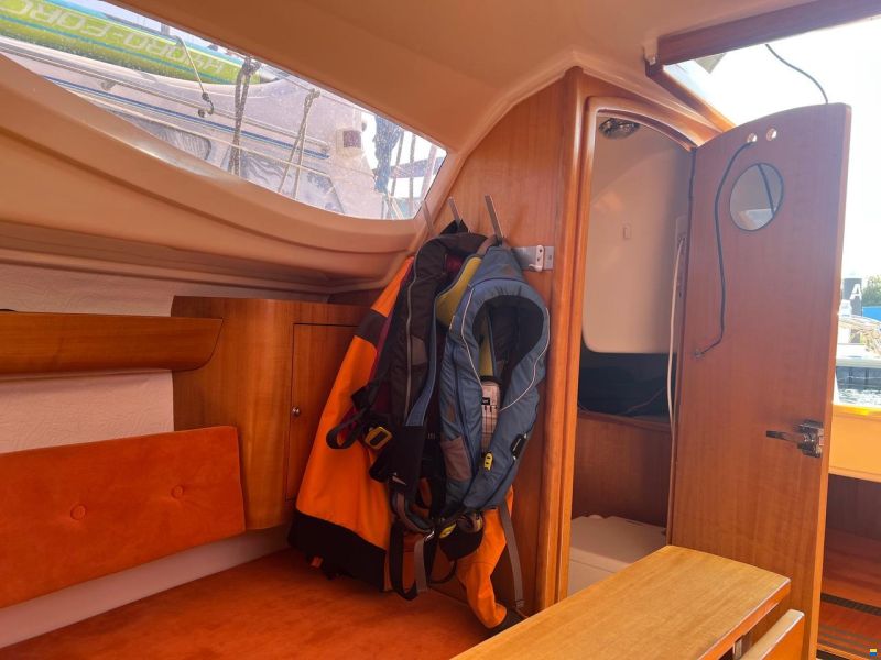 Maxus 24