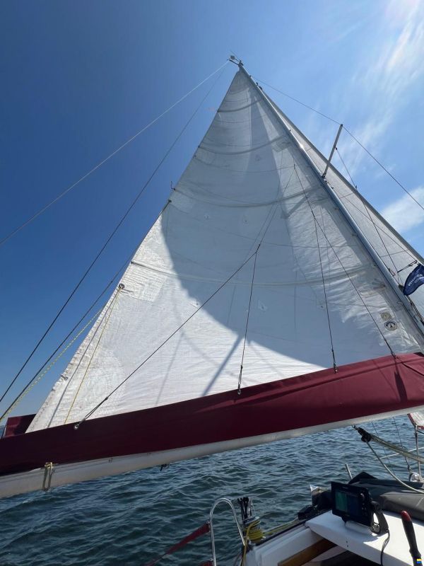 Maxus 24