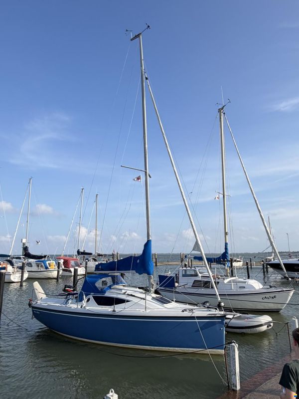 Maxus Sport 22