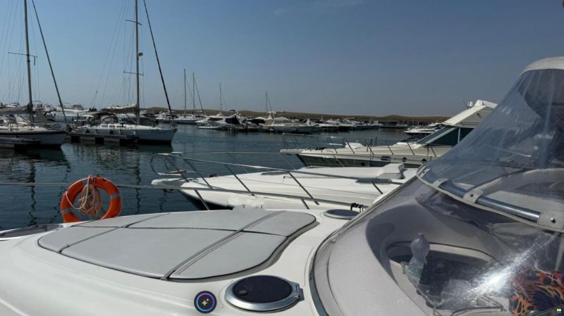 Stama 37