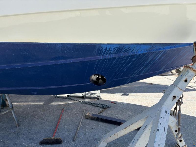 Conam LUPO DI MARE 37