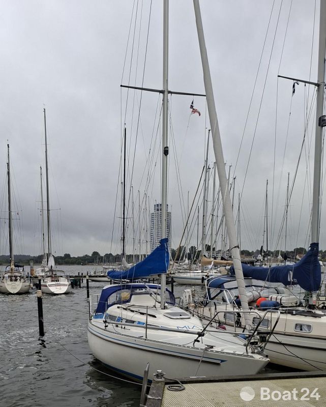 Colina L29