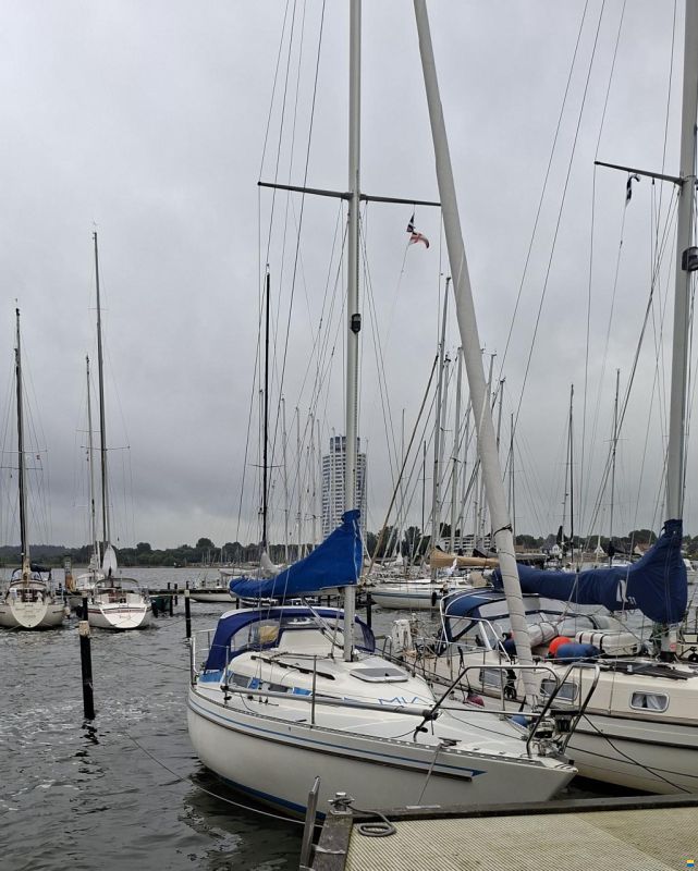 Colina L29