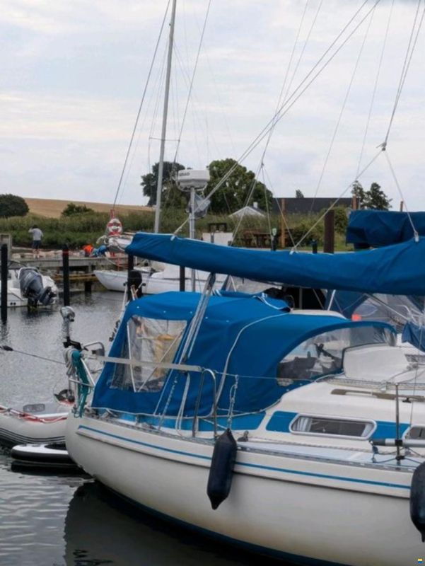 Colina L29