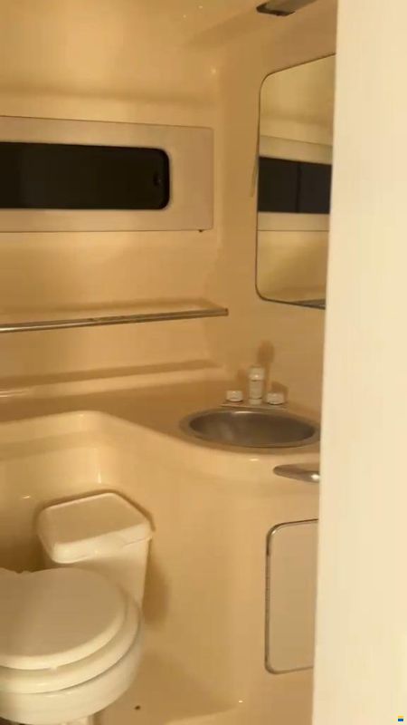 Sea Ray 330