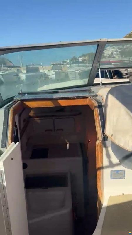 Sea Ray 330
