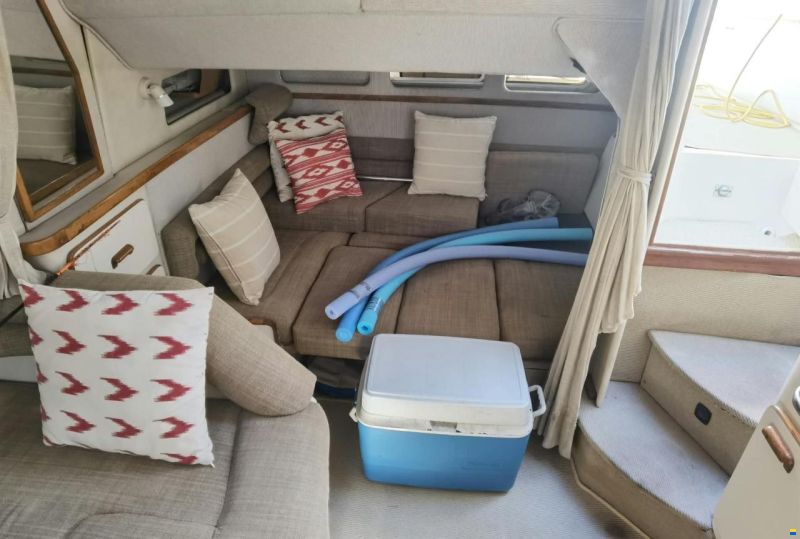 Sea Ray 330