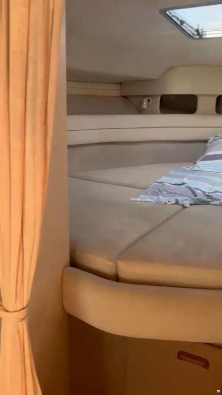 Sea Ray 330