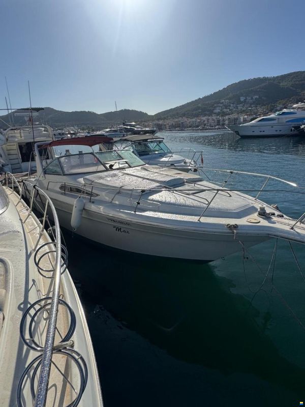 Sea Ray 330