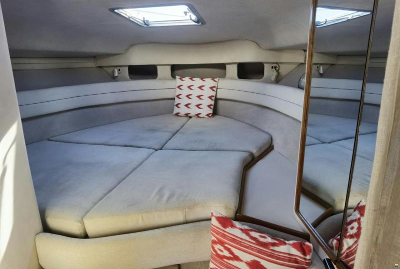 Sea Ray 330