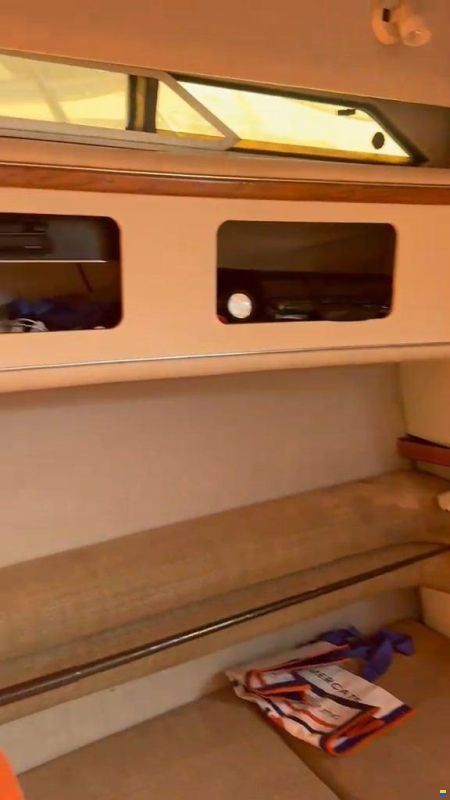 Sea Ray 330