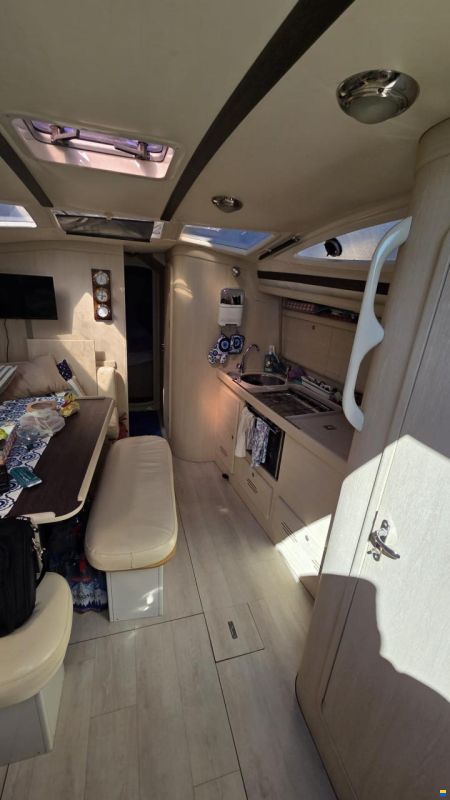 Delphia 40