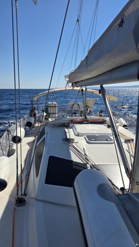 Delphia 40