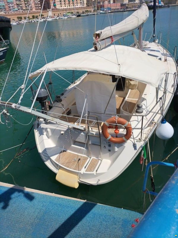 Delphia 40