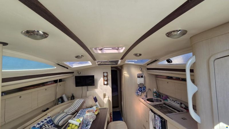 Delphia 40