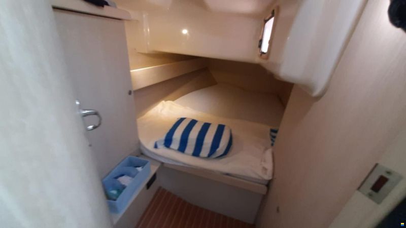 Delphia 40
