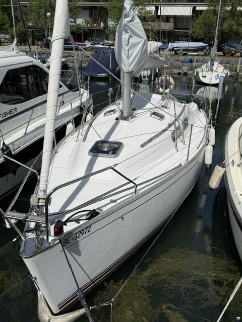 Delphia Sportina 860