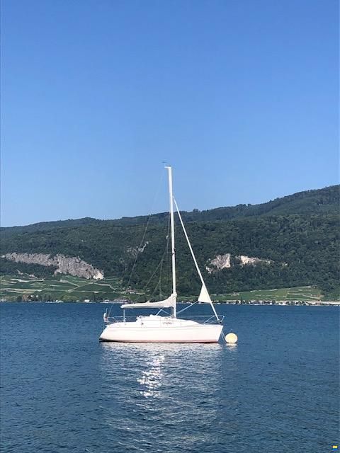Delphia Sportina 860