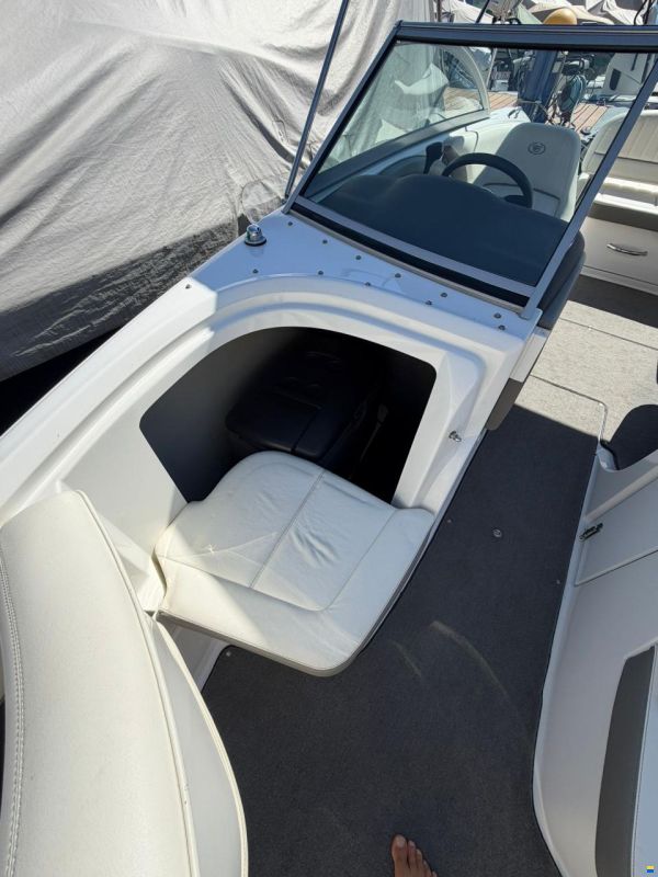 Cobalt 224