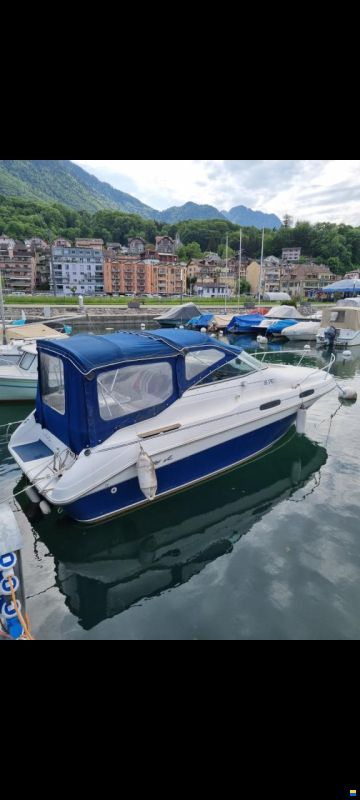Sea Ray 230
