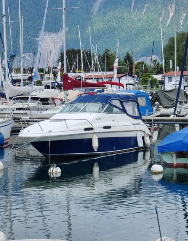 Sea Ray 230