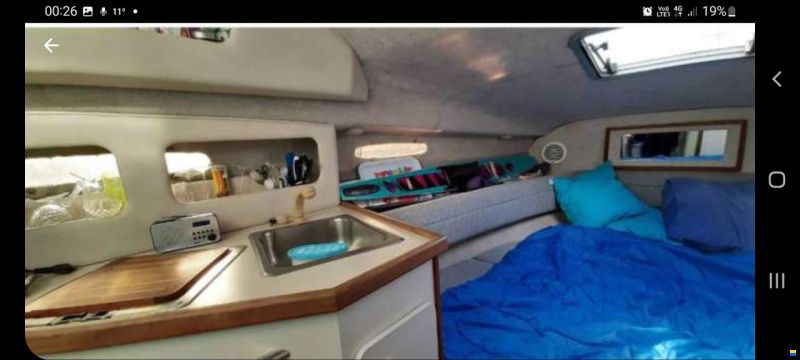 Sea Ray 230