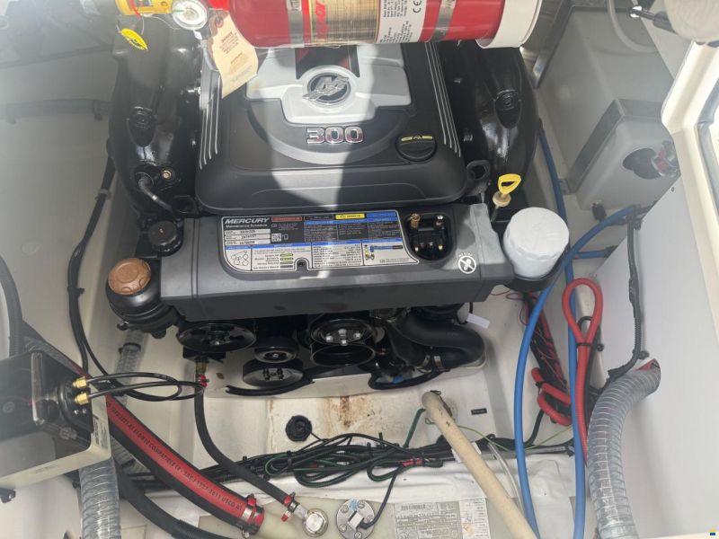 Bayliner VR6 Cuddy med 300 hk Mercruiser-EFI V8 6
