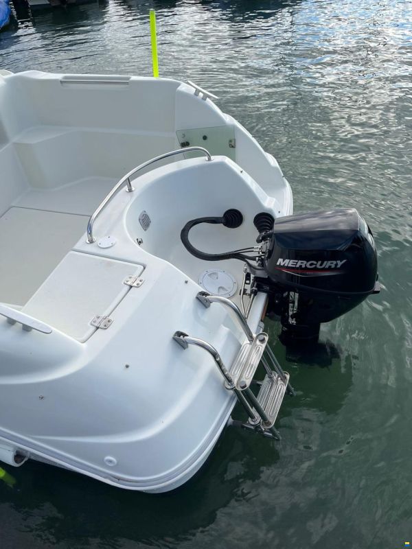 Quicksilver 530 Timonier