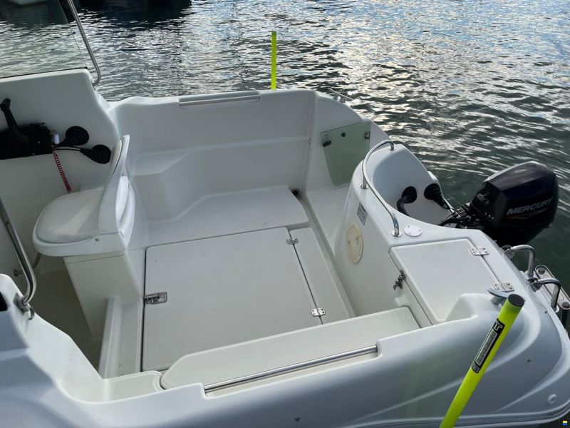 Quicksilver 530 Timonier