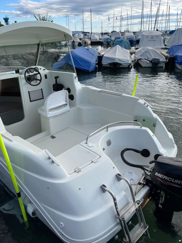 Quicksilver 530 Timonier