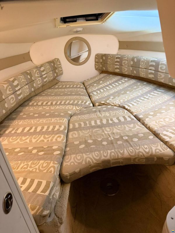Rinker Captiva 232