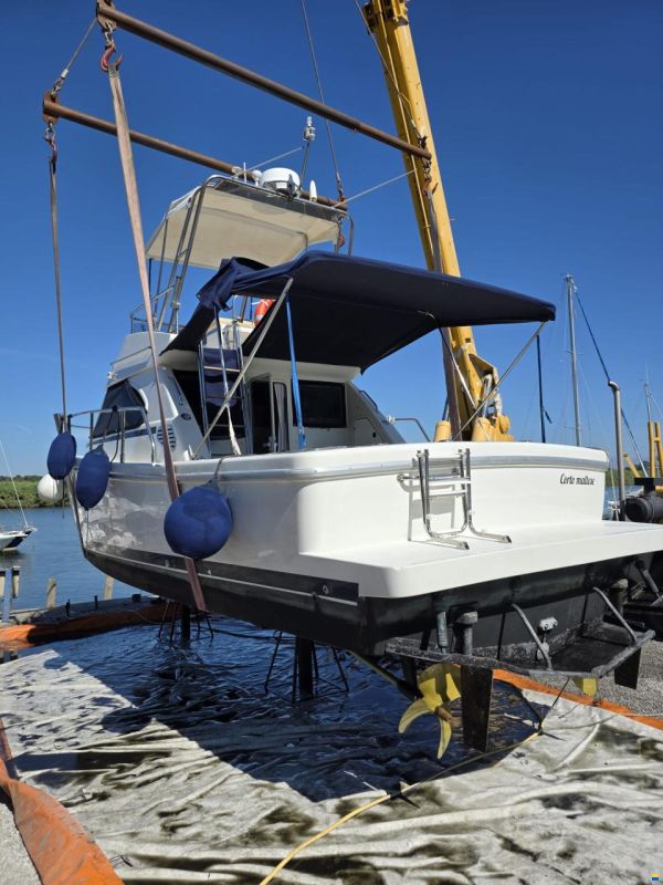 Cayman 30 Fly