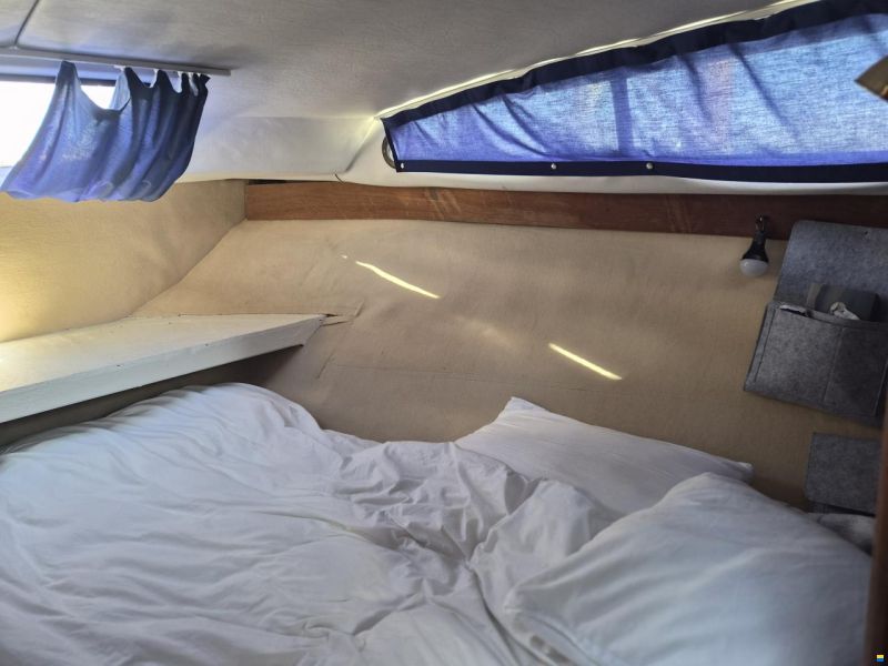 Marex Consul 77