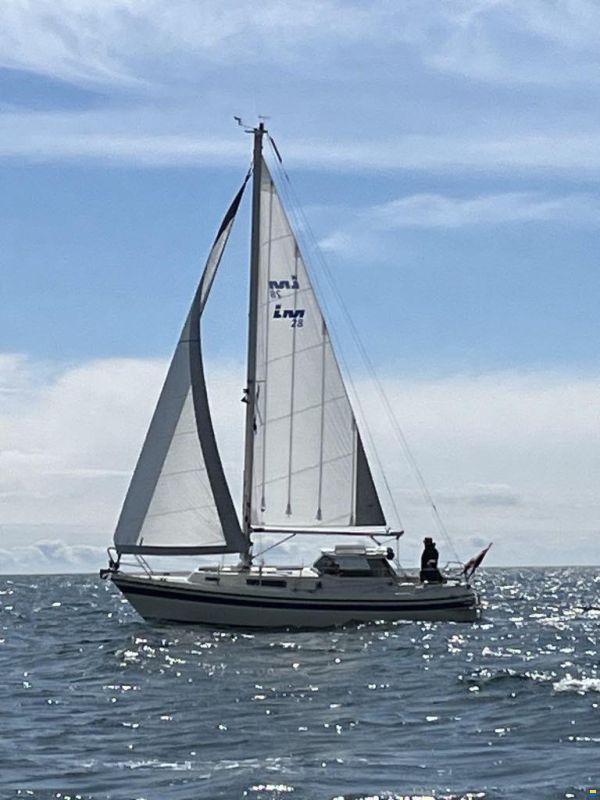 LM 28