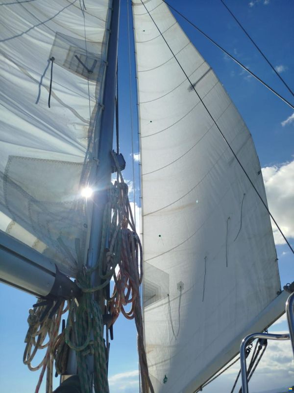 Reinke S10